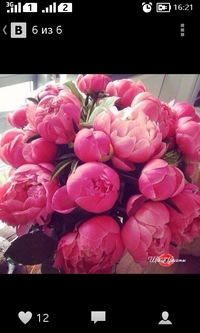 Ольга Пантилейкина