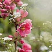 Кристина Михайлова