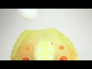 foodpod™ - the boil/blanch/steam/drain silicone pod