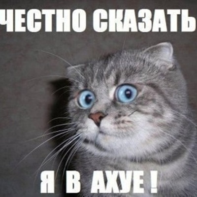 YVFNSO0Sae4.jpg?ava=1