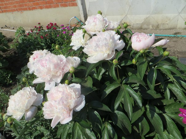 фотография из вКонтакте