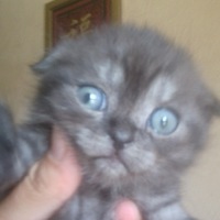 Марина Кулакова | Макеевка