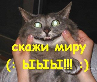 fS4T7hsmbUo.jpg