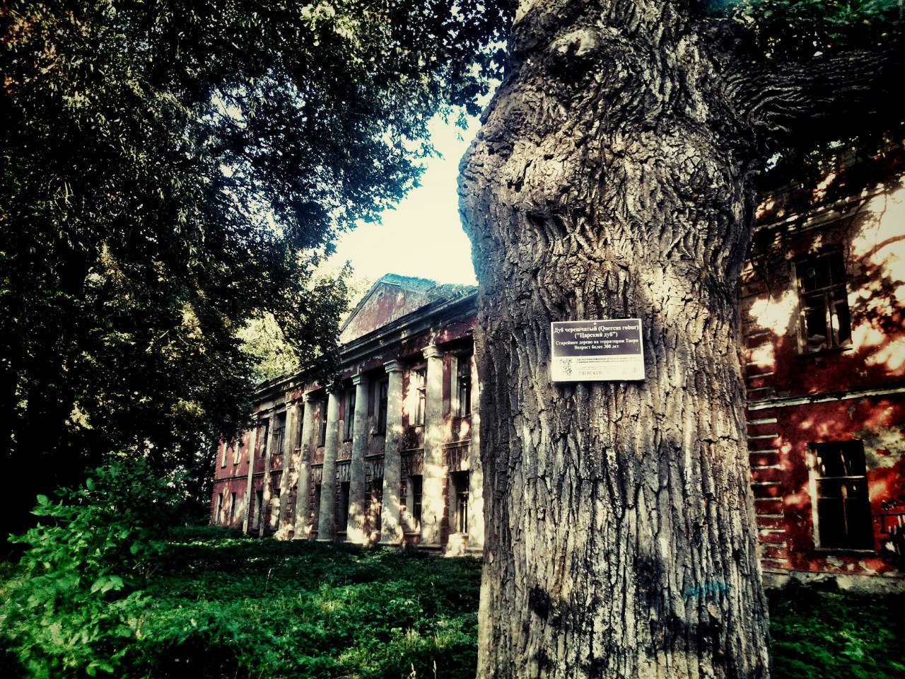 В старинном парке корпуса больницы кирпичные простые корпуса