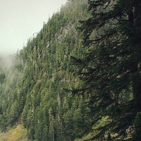 Дмитрий Константинов