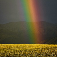Наталья Фотиева