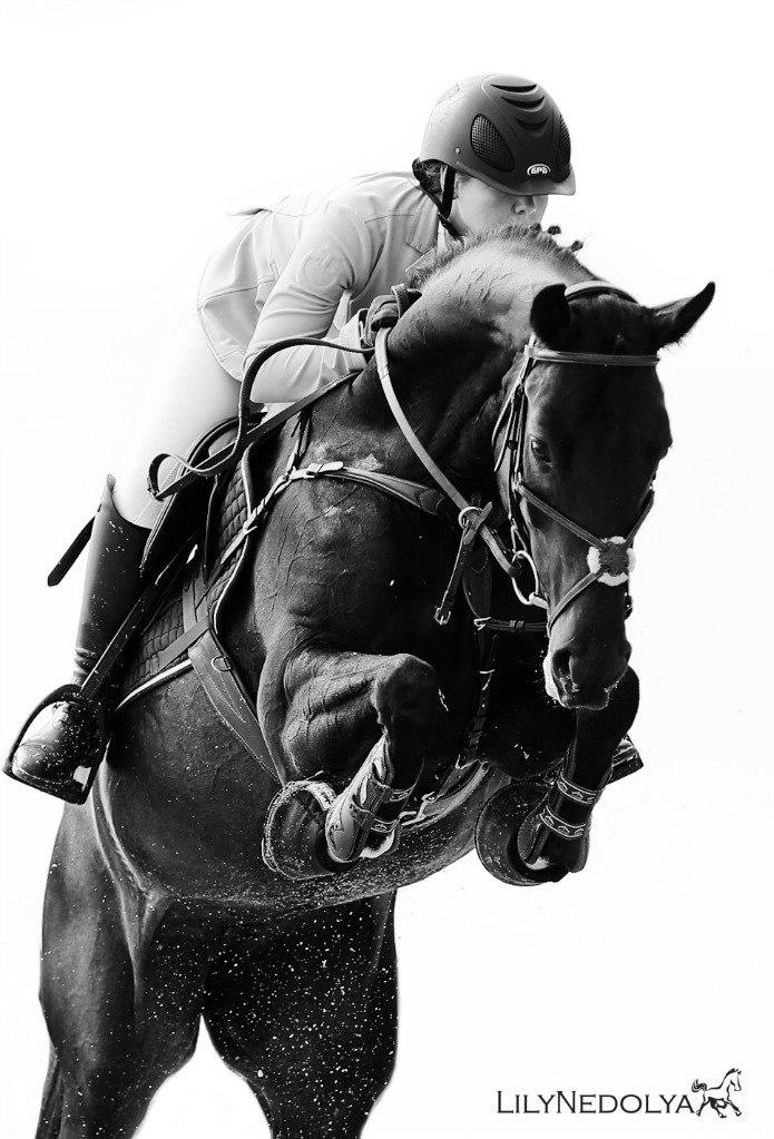 Невозможно добиться успеха в конном спорте