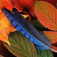 Настя Ляхова