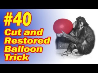 Cut And Restored Balloon Trick - How to Do Balloon Magic - Easy To Learn Tutorial