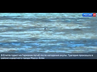 Египетская Акула Откусила Ногу Немецкому Туристу