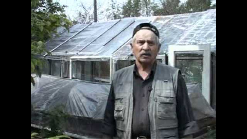 100604 Бутылочная теплица