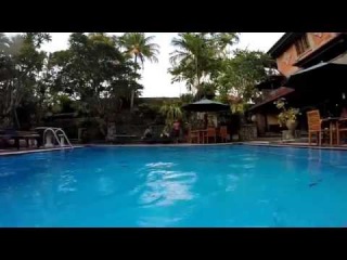 Jump in the pool. Bali. Ubud.