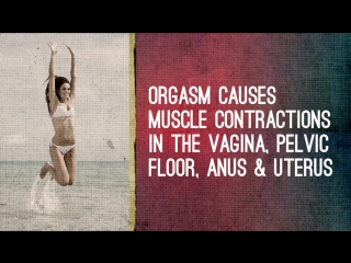 How The Female Orgasm Works