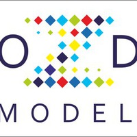 ozdemir_school