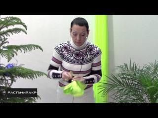 Как сделать большой и красивый бант? / How to make a big and beautiful bow?
