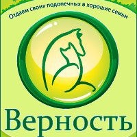 vernost_dp_ua