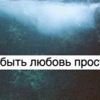 Дмитрий Старков | 