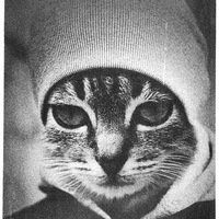 Никита Рыбка