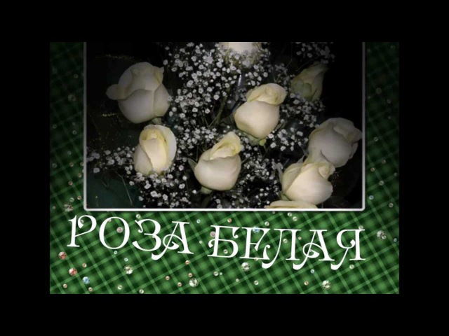 РОЗА БЕЛАЯ