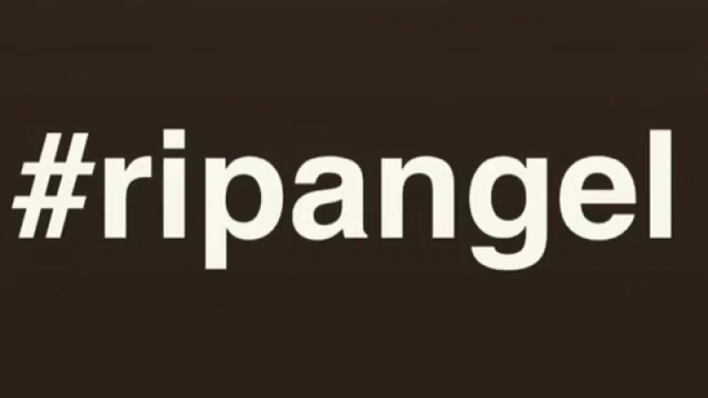RipAngel, RipCat