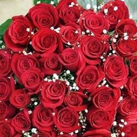 Ольга Светлова