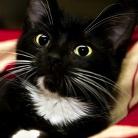 Лилия Гареева | 