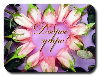 https://pp.userapi.com/c623222/v623222879/3ea5a/l0Xc7cLRY9Y.jpg
