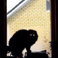 Наташа Беллатрикс  ღ