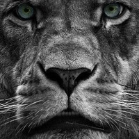 Дмитрий Смирнов