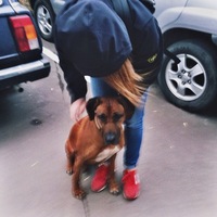 Света Иванова