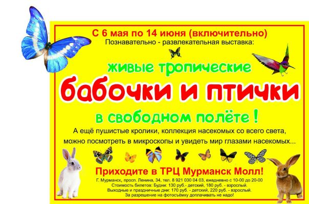 Бабочка 51 Интернет Магазин Мурманск