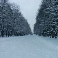 Максим Максимов