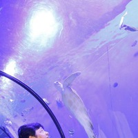 Людмила Черненко