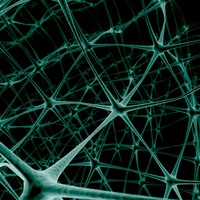 Никита Катаев