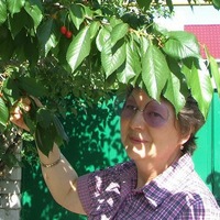Татьяна Захаркина | Могоча