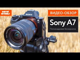 Sony a7. Магия полного кадра