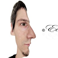Max Eckstein