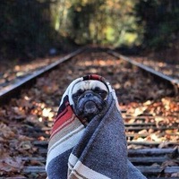 Слава Кикош