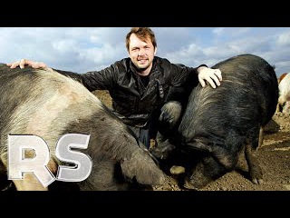 The Private Life Of Pigs - Real Stories