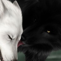 Максим Кузнецов