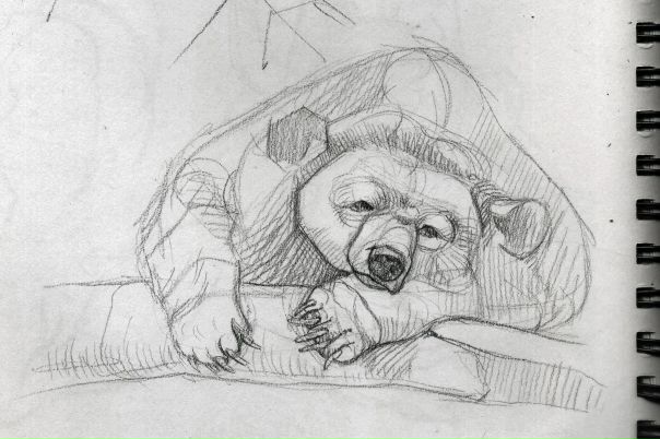 Как нарисовать мишку убийцу