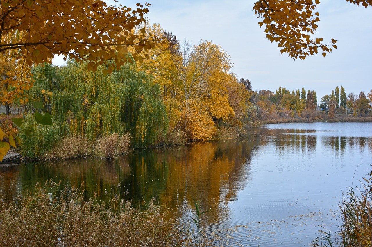 Фотография