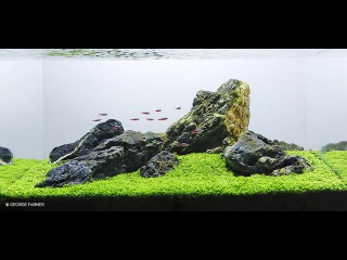 Huge aquarium compilation 500+ Aquascapes