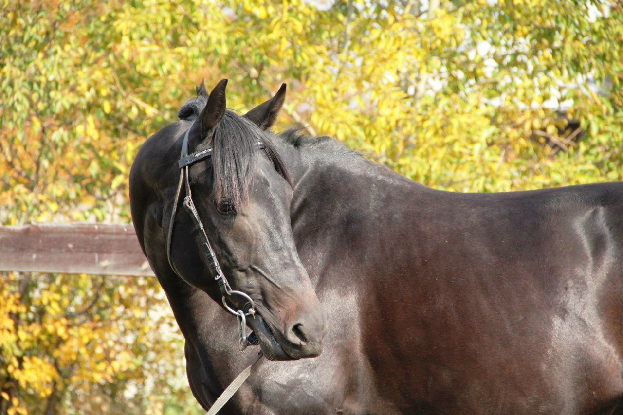 V8mFu_enEmE.jpg