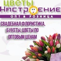 club35528115
