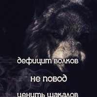 Максим Сергеев