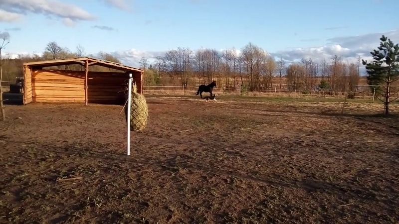 новая кормушка