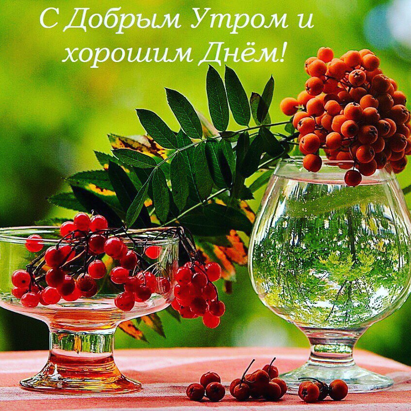 gSyUgvuiAbI.jpg