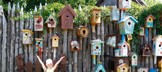 Бухучет Бухучет