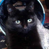 Наталья Лёвик